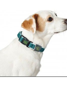 Collier pour Chien Hunter...