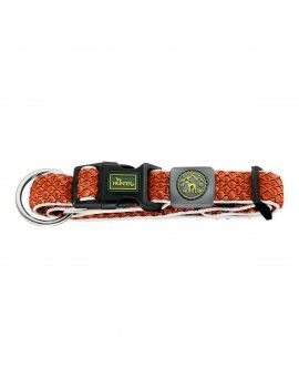 Collier pour Chien Hunter...