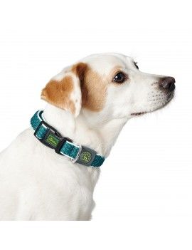 Collier pour Chien Hunter...