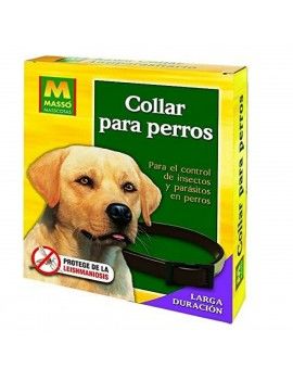 Collier pour Chien Massó...