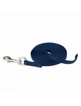 Laisse pour Chien Coachi...