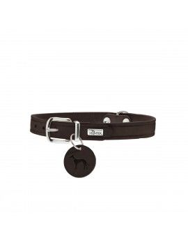 Collier pour Chien Hunter...