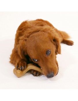 Jouet pour chien Nylabone...