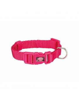 Collier pour Chien Trixie...