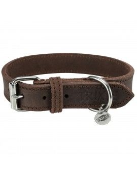 Collier pour Chien Trixie...