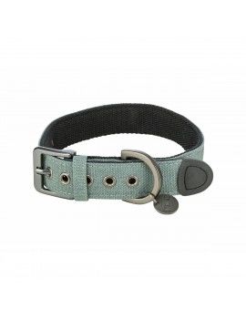 Collier pour Chien Trixie...