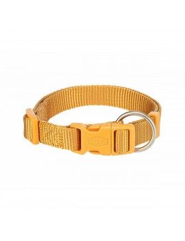 Collier pour Chien Trixie...