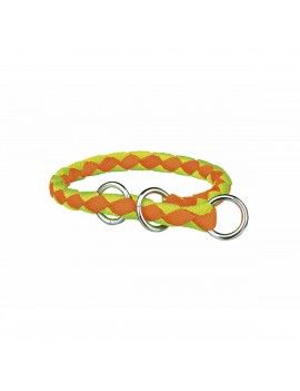 Collier pour Chien Trixie...