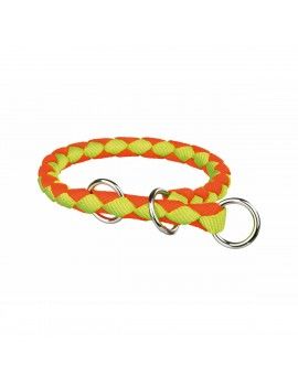 Collier pour Chien Trixie...