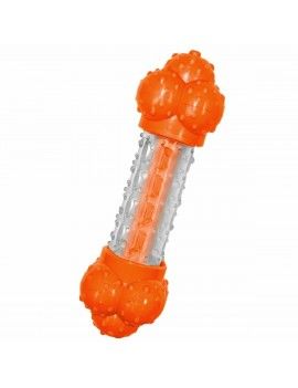 Jouet pour chien Nylabone...