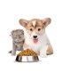 Aliments pour animaux